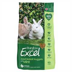 Burgess Excel Tasty Nuggets for Rabbits with Mint